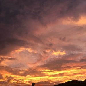 Meet your Posher, Laila